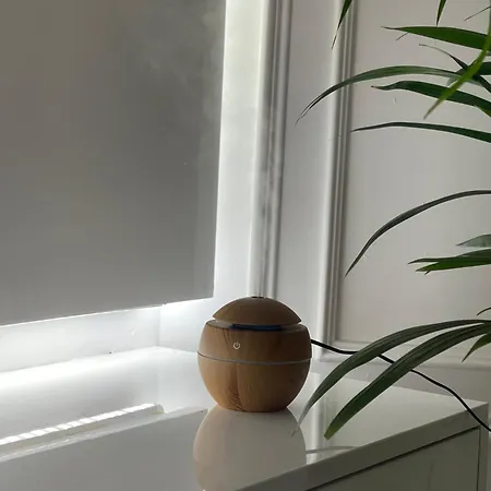 Apartman Cahani Lux Tirana